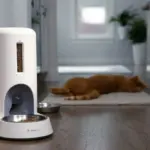 Purina’s Petivity Launches AI-Powered Smart Feeder to Revolutionize Multi-Cat Households
