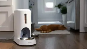 Purina’s Petivity Launches AI-Powered Smart Feeder to Revolutionize Multi-Cat Households